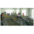 Fruit Lifting Washing Sorting Combiner